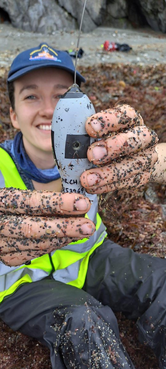 DaniOrrell's tweet image. It&apos;s been a busy summer...! Two days searching at sea, and two days hiking the coastline later...Another flapper skate satellite tag recovered with @damien_haberlin 🏆 This data will help us unravel the movements of the largest skate in the world!