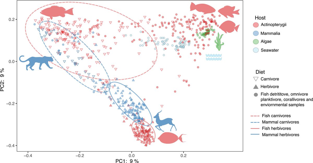 Sam Degregori (@poopomics) on Twitter photo Culmination of my PhD work finally published! Fish gut microbiomes are more similar to mammalian gut microbiomes than you think. doi.org/10.1111/mec.17…
<a href="/jordanmcasey/">Dr Jordan Casey</a> <a href="/NinaSchiett/">Dr Nina Schiettekatte</a> Culmination of my PhD work finally published! Fish gut microbiomes are more similar to mammalian gut microbiomes than you think. doi.org/10.1111/mec.17…
<a href="/jordanmcasey/">Dr Jordan Casey</a> <a href="/NinaSchiett/">Dr Nina Schiettekatte</a>