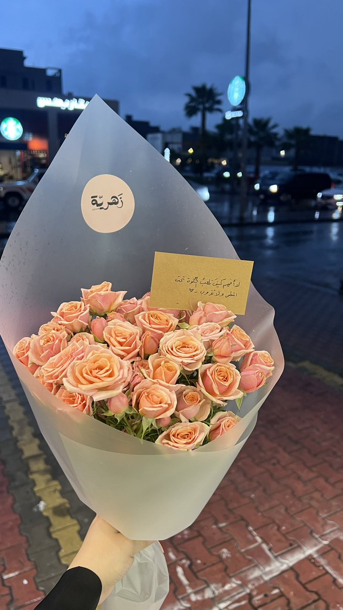 بشائر الشيباني🪞 tweet media