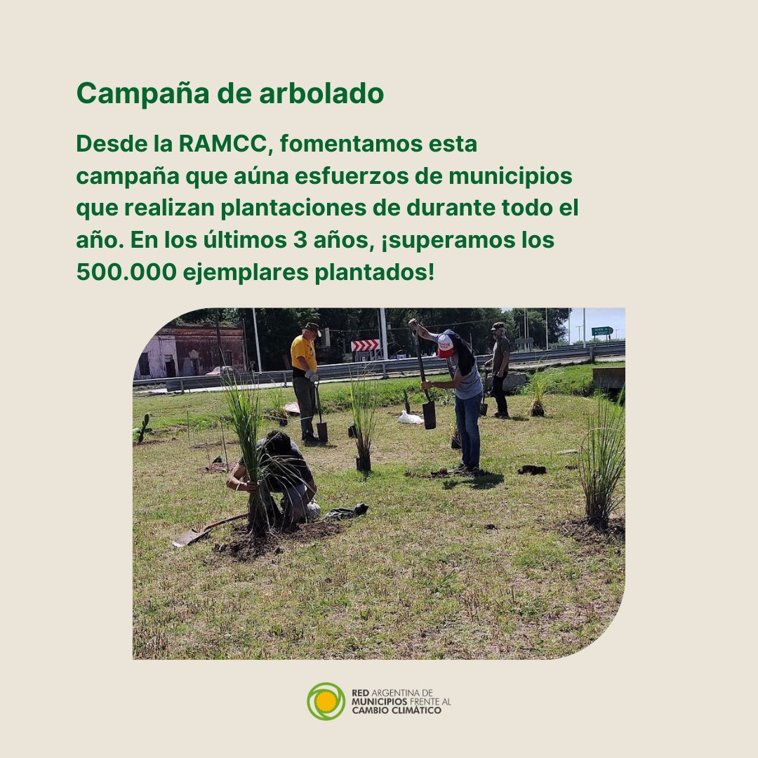 ramcc_ar's tweet photo. Día del árbol: luchando de raíz contra el cambio climático
Desde la #RAMCC, impulsamos la Campaña de Arbolado 2024 que en los últimos 3 años, superó los 500.000 ejemplares plantados en municipios adheridos a la Red, de todo el país.
Mira: https://t.co/J3vdrffh0K https://t.co/mIJhliqr3T