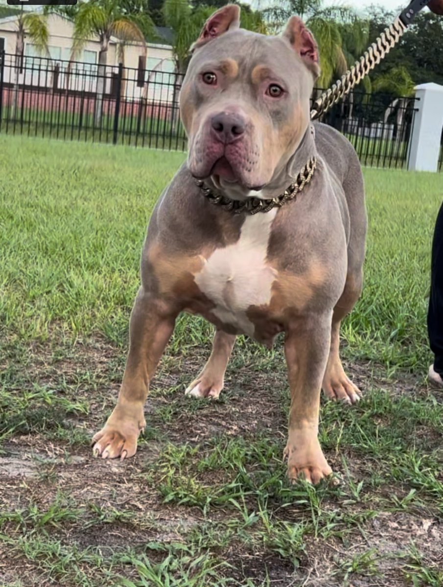 🥶Charles strong Jr 🥶 tweet media