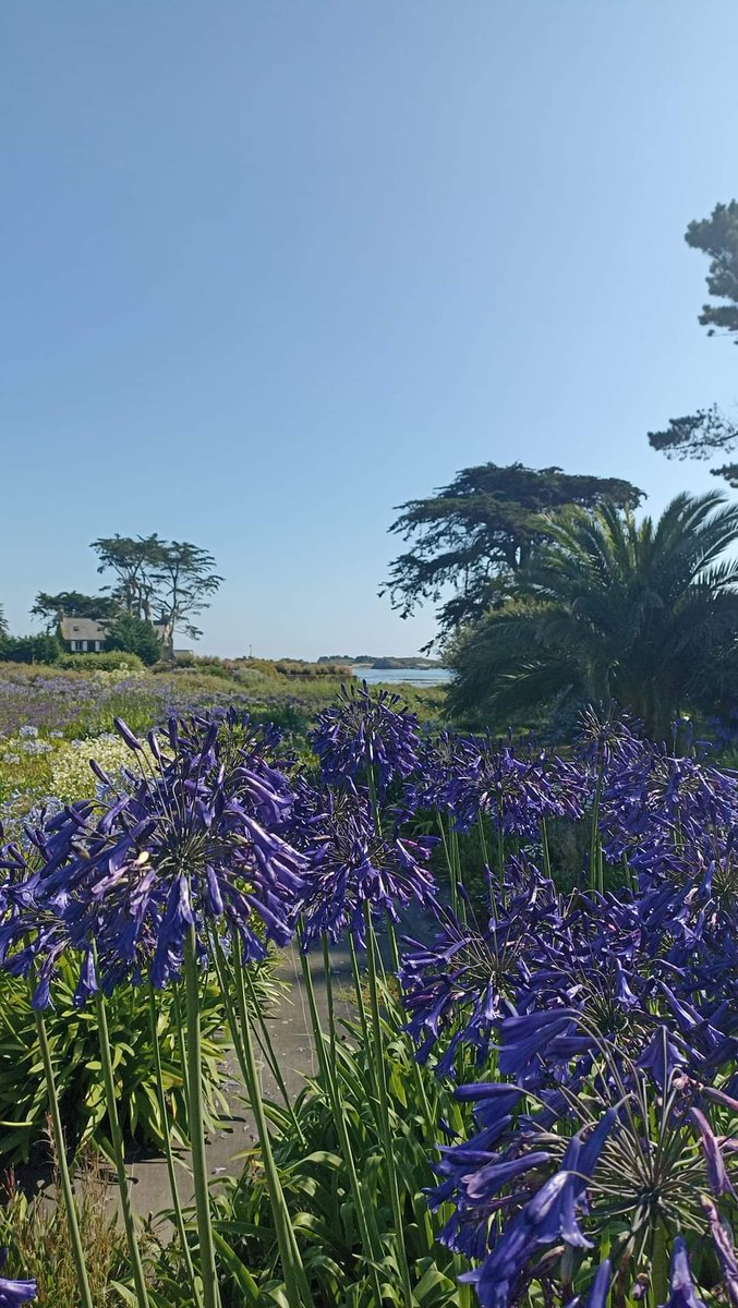 PascalBudor's tweet image. Les vacances sont finies , il faut rentrer ... en route ... Dinard . 👨‍🎓👩‍🎓🦞🦀 #dinard