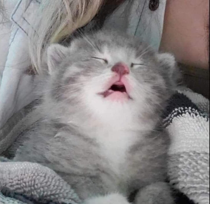 hansena22's tweet image. 