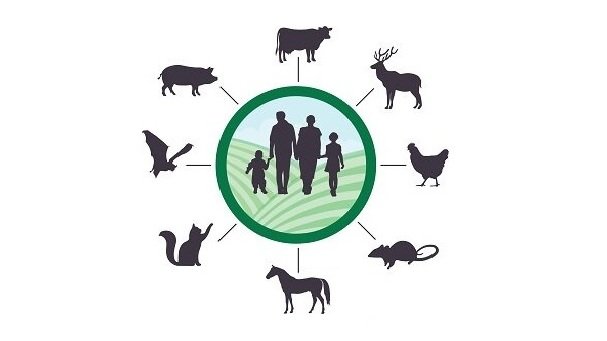 An informative read on zoonotics. Ever wondered how diseases are transmitted from animals to humans? This explainer details human wildlife interactions in a threatened environment.