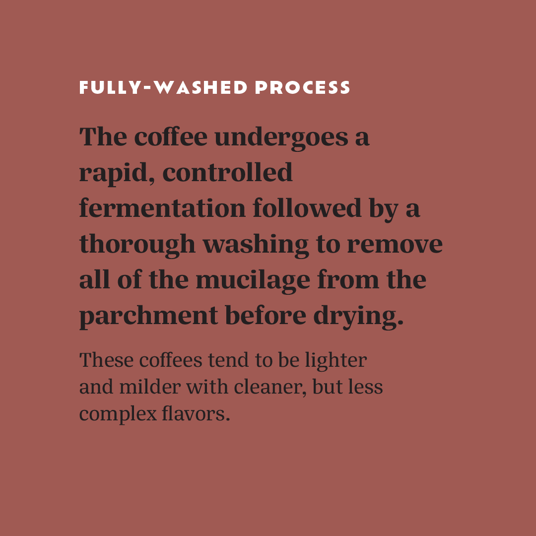 Casa Brasil Coffees tweet media