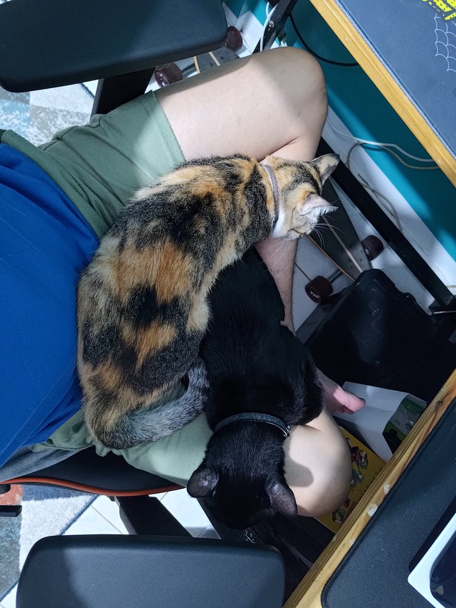 Bow I can't move... twice