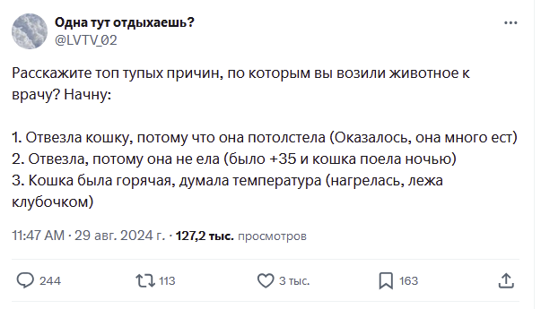 oldLentach's tweet photo. Тут твиттерские рассказали про самые глупые причины, когда они водили своих пушистиков к ветеринарам

Делитесь своими историями https://t.co/AhxK8rvYic
