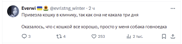 oldLentach's tweet photo. Тут твиттерские рассказали про самые глупые причины, когда они водили своих пушистиков к ветеринарам

Делитесь своими историями https://t.co/AhxK8rvYic