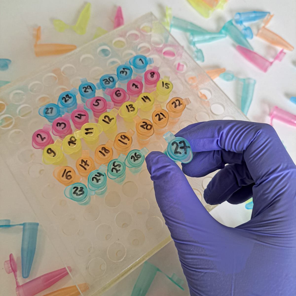 🧪🔬One month to go until NEI 2024!
CiBB will be at the European Researchers' Night on September 27 🗓️ from 5pm to 0am. 

Take the opportunity to talk to our researchers and carry out various scientific activities with them. We look forward to seeing you at baixa de Coimbra. 🧬