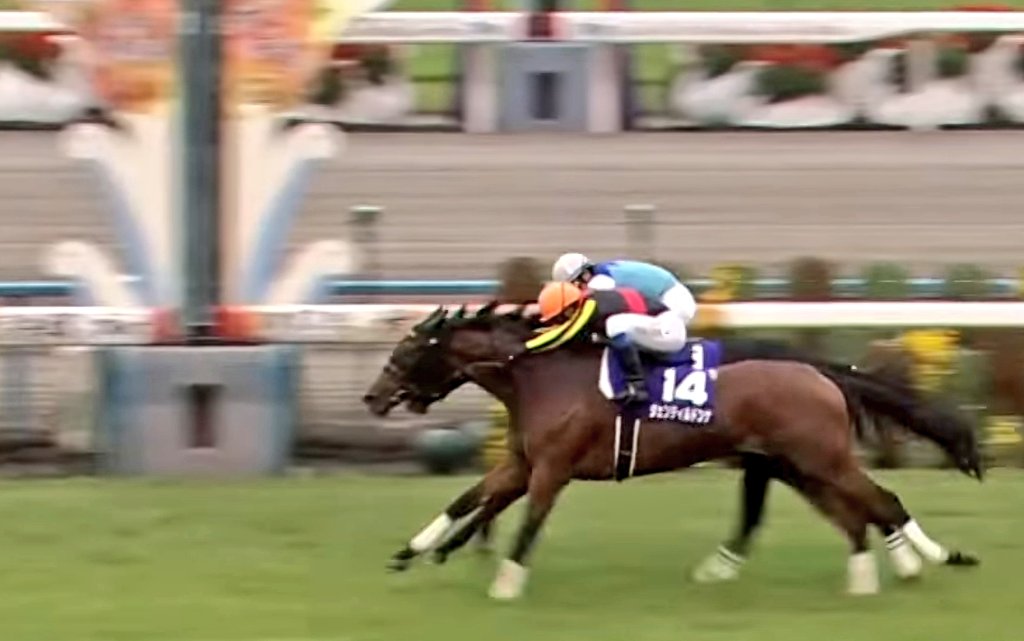 ①◆　競馬　JRA　◆　ジェンティルドンナ　◆　１冠目　桜花賞　◆　フォト　◆ vrwP1cu9cY2YL4Fg3aXpJtHyHIQWv4