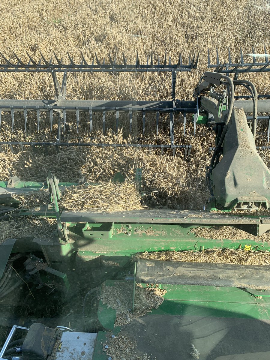 What an amazing county!  All this in one day. Who would not want to come to Norfolk? (And if you're CofE clergy reading this, we have some lovely vacancies...). Many thanks to hosts <a href="/NorfolkFWAG/">NorfolkFWAG</a> <a href="/HoninghamThorpe/">Honingham Thorpe Frm</a> and Fischer Farms. <a href="/Norfolk_LL/">The Lady Dannatt, Lord-Lieutenant of Norfolk</a> <a href="/DioceseNorwich/">Diocese of Norwich</a> <a href="/churchofengland/">The Church of England</a>