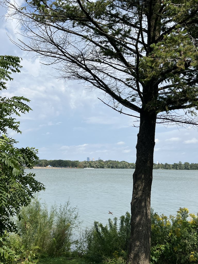 Kyle Potter tweet media