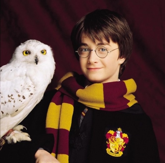 TheDailyHPotter's tweet photo. Harry and Hedwig 🦉 https://t.co/WtaobzLWjJ