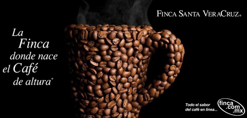 fincasantaver's tweet image. En Finca Santa VeraCruz® nos ocupamos de llevar a nuestros clientes el mejor Café de México.