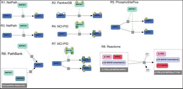 Rosa for QSP tweet media