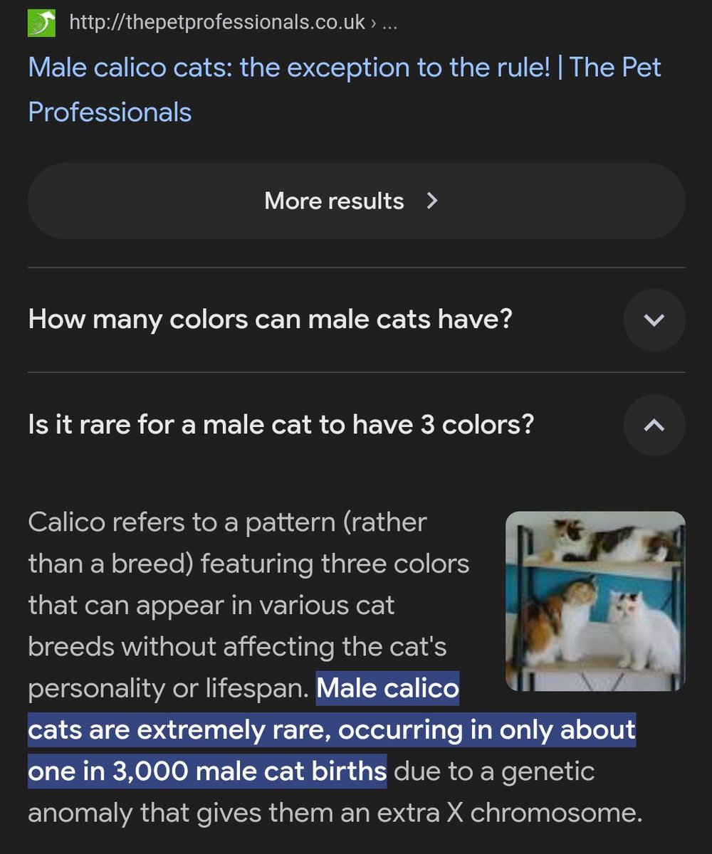 Jenna⚖️ tweet media