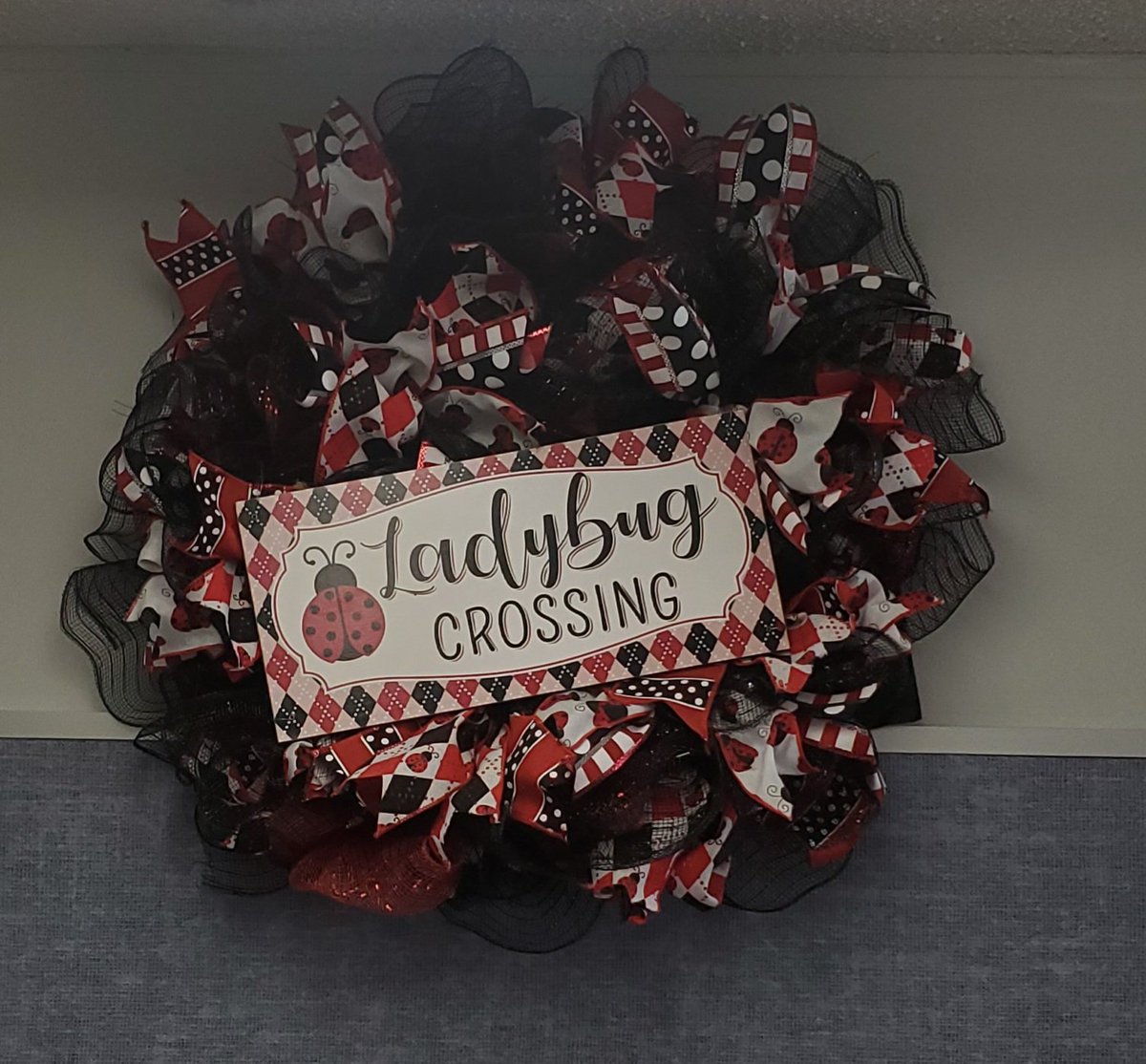 Mrs. Carter is the friendly face that all ladybugs see when they walk through the door. She is the glue that holds us all together and makes Kennedy School run. We ❤️ her very much! #LadybugLife