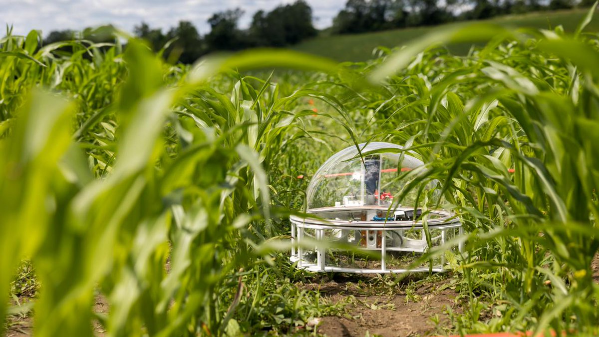 Trent University Research & Innovation (@trenturesearch) on Twitter photo 🌟 Big news! The Trent Research Farm is now an official Research Centre! 🌱 This means more funding & support for groundbreaking projects and continued collaborations for Faculty & students to address regional challenges. Discover more: trentu.ca/news/story/405… <a href="/TrentUniversity/">Trent University</a> 🌟 Big news! The Trent Research Farm is now an official Research Centre! 🌱 This means more funding & support for groundbreaking projects and continued collaborations for Faculty & students to address regional challenges. Discover more: trentu.ca/news/story/405… <a href="/TrentUniversity/">Trent University</a>