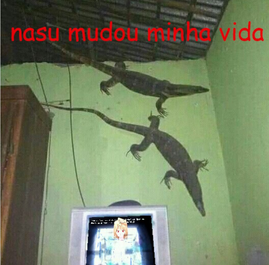 .oel（レオ/ 레오） (@swaggrindset) on Twitter photo 