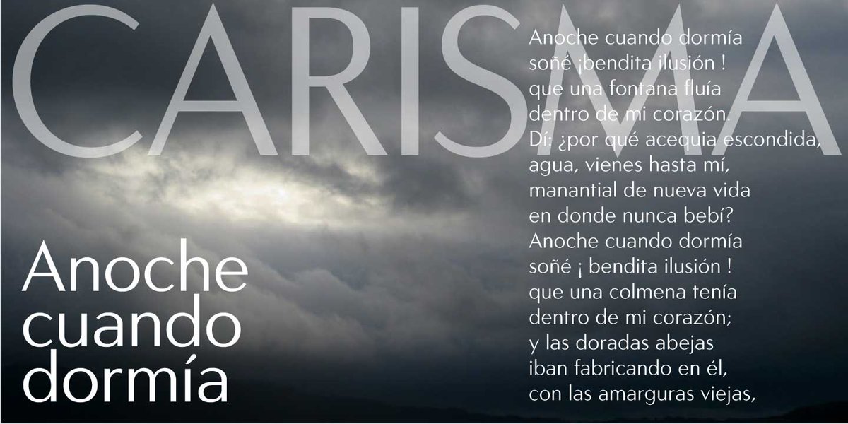 Jason Castle tweet media