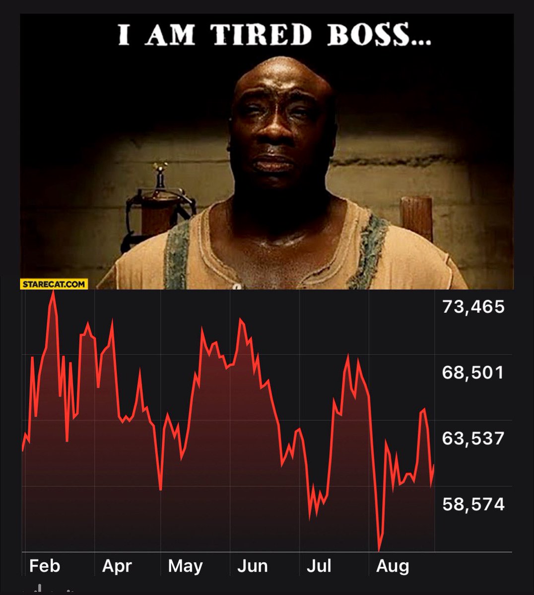 Bitcoin Archive tweet media