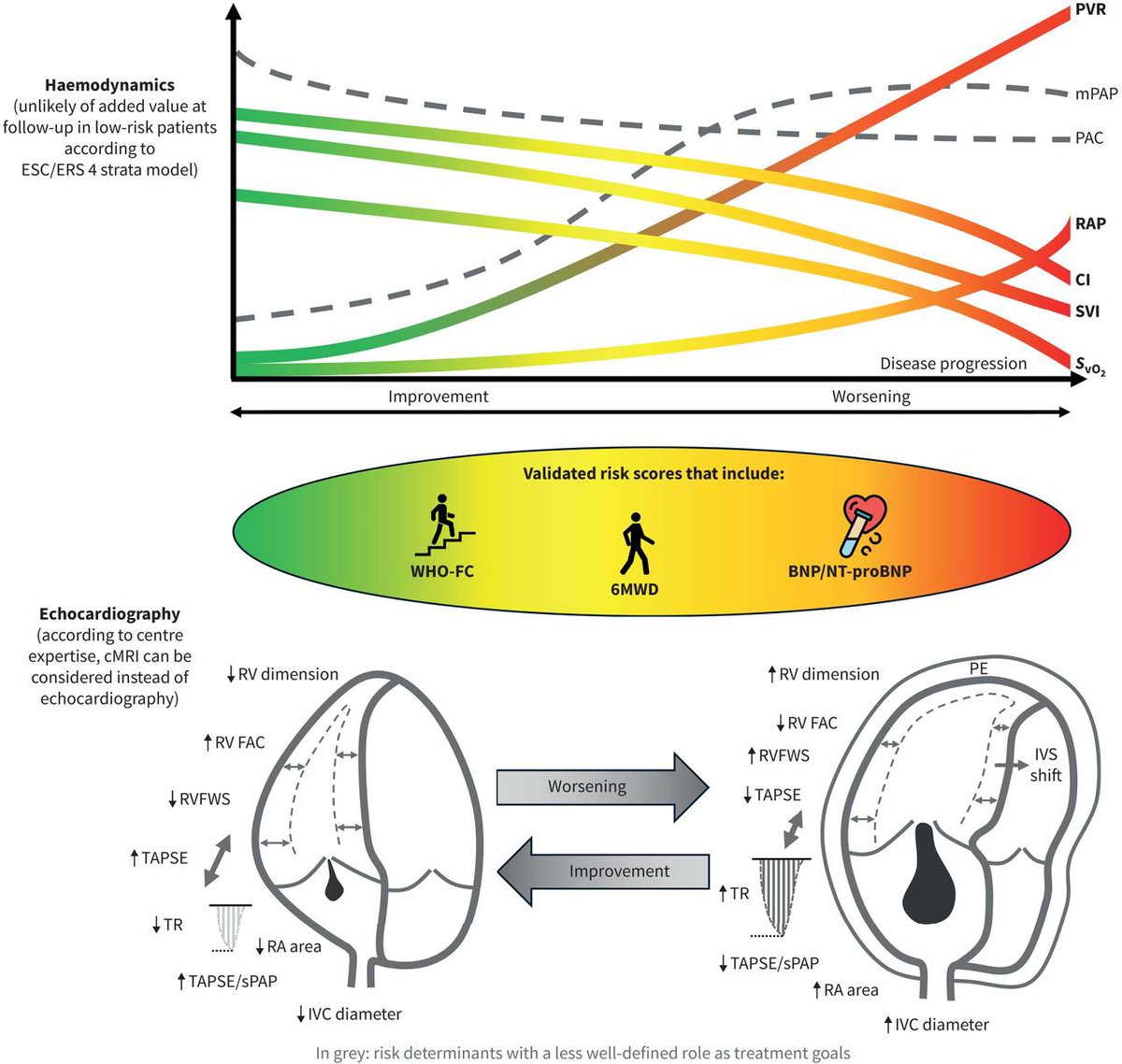 Risk stratification and treatment goals in pulmonary arterial hypertension. The Seventh World Symposium on Pulmonary Hypertension #PAH erj.ersjournals.com/content/early/…
