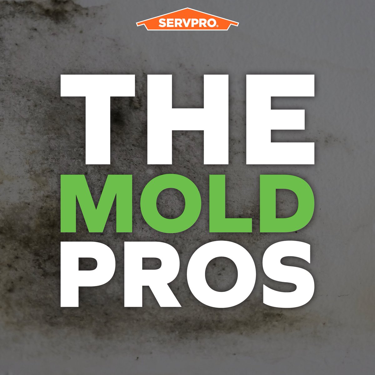 Have you recently discovered mold inside your home or business? SERVPRO is Here to Help! Our expert team specializes in mold damage remediation, restoring your space to its former glory. Trust us to get the job done right quickly and efficiently!