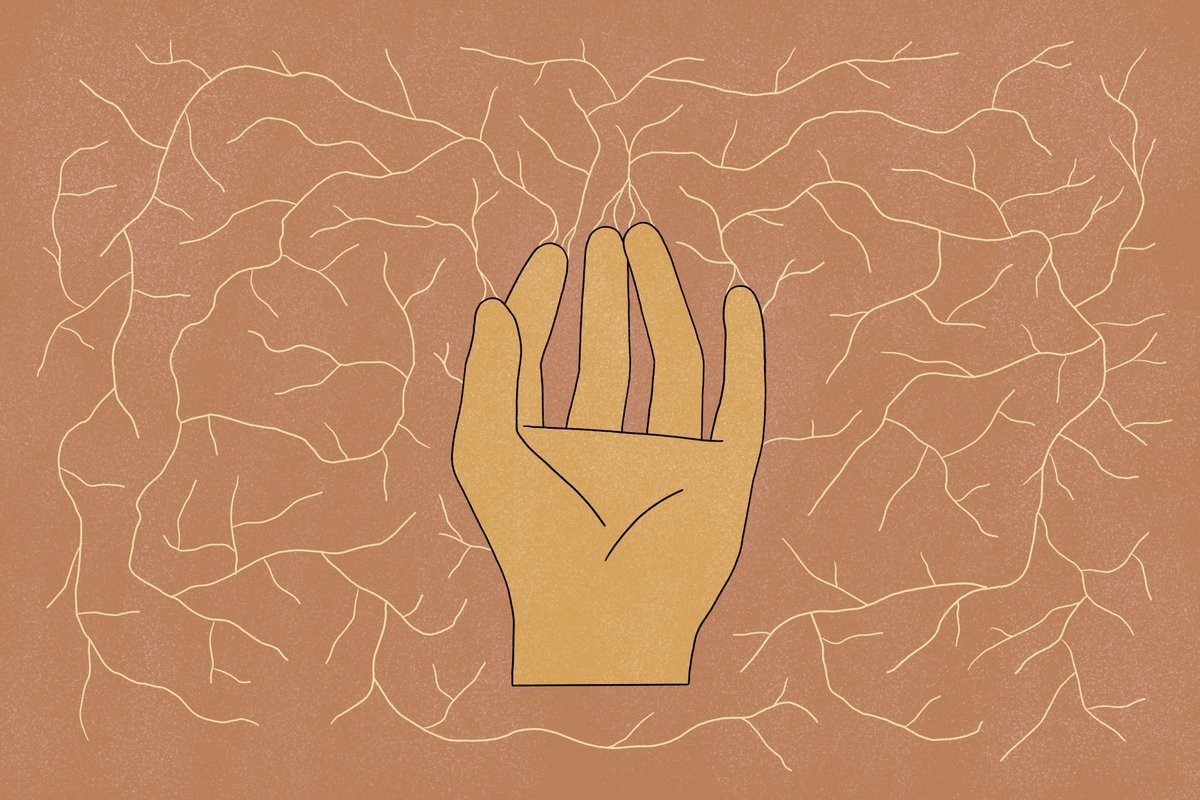 🍄 Beneath our feet lies a hidden world of mycelium, crucial for carbon sequestration and plant health. These fungal networks not only support ecosystems but also offer a path to sustainable agriculture and resilience.

Discover the magic of #mycelium at farm.vc/learn/the-magi…