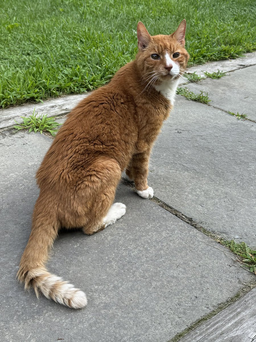 Kevin Daly tweet media