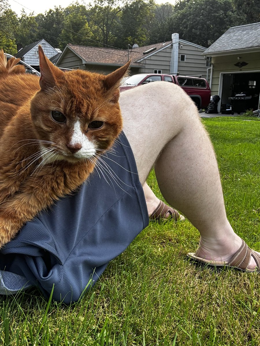 Kevin Daly tweet media