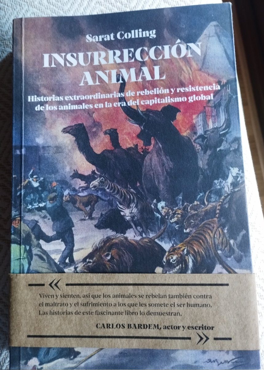 Advocats que defensen tèrmits i rates.  Ja està, és això el tuit.