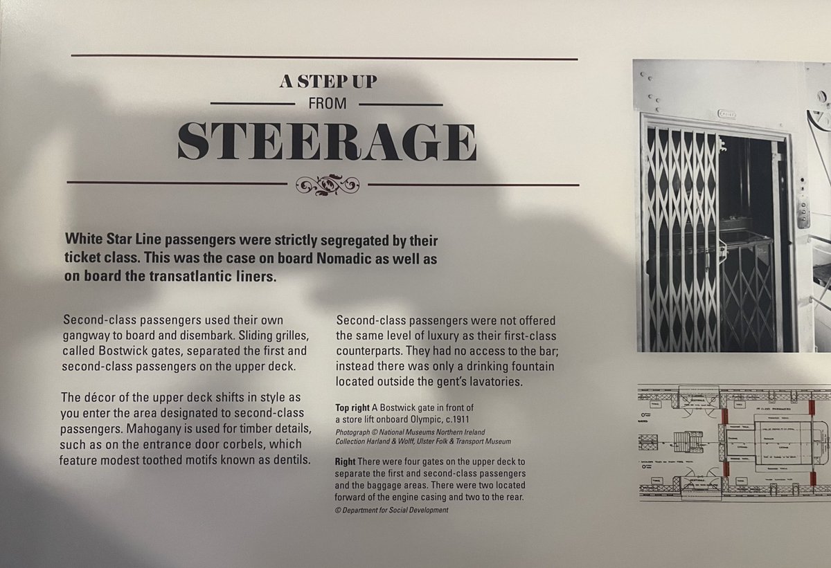 Joe Shefer tweet media