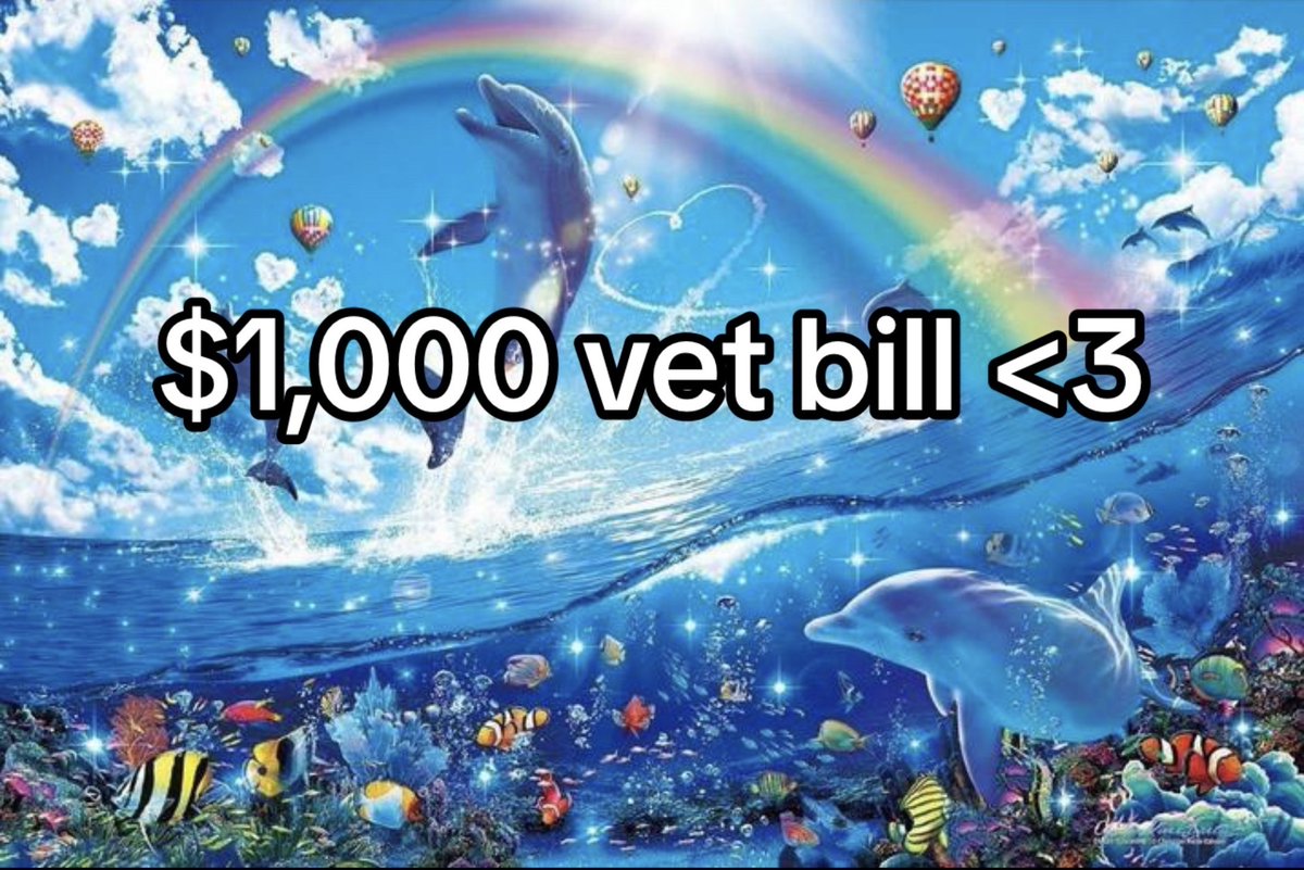 PetCollectiveTV's tweet photo. 💙 #DolphinMeme https://t.co/a0hWqqdB23