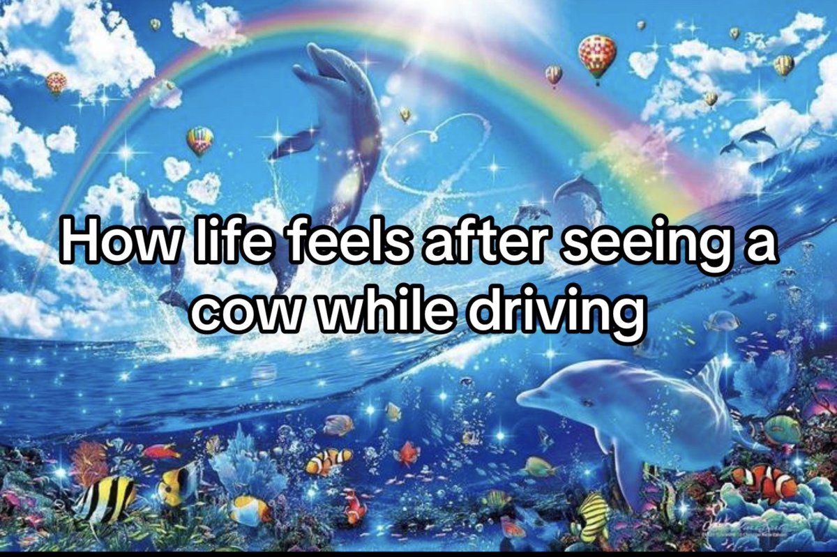 PetCollectiveTV's tweet photo. 💙 #DolphinMeme https://t.co/a0hWqqdB23