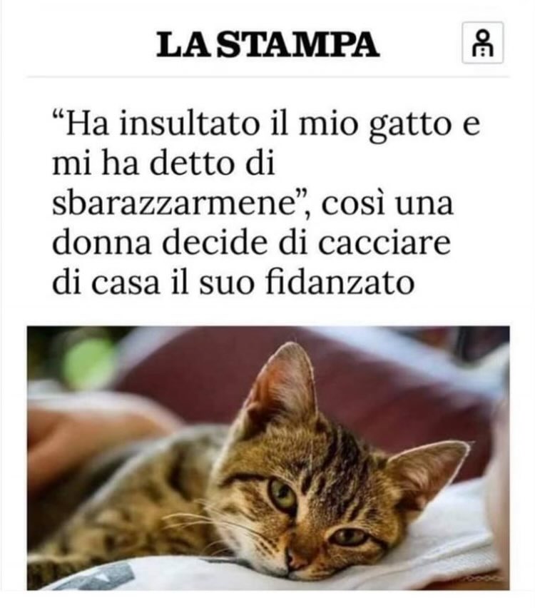 ❤️Atrebor❤️ tweet media