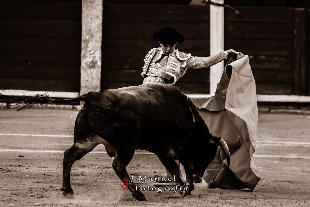 La esencia de Manuel Román en su paso por Toro <a href="/zunigatoros/">Carlos Zúñiga</a>