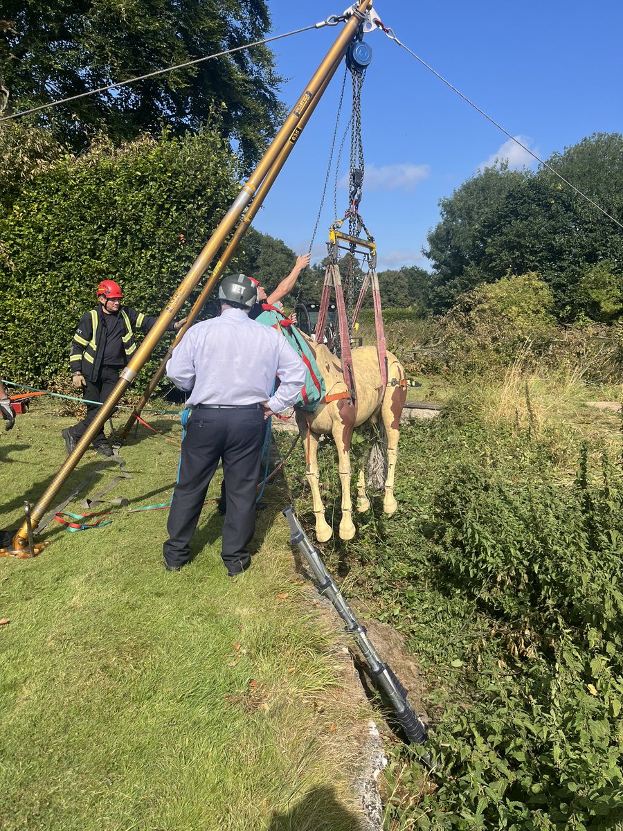 htfcrach's tweet image. Not a bad spot for Animal rescue training. Always grateful for the opportunities to watch and help out at different training sessions, even did abit of role playing 😅😅 #alwayslearning #Techrescue