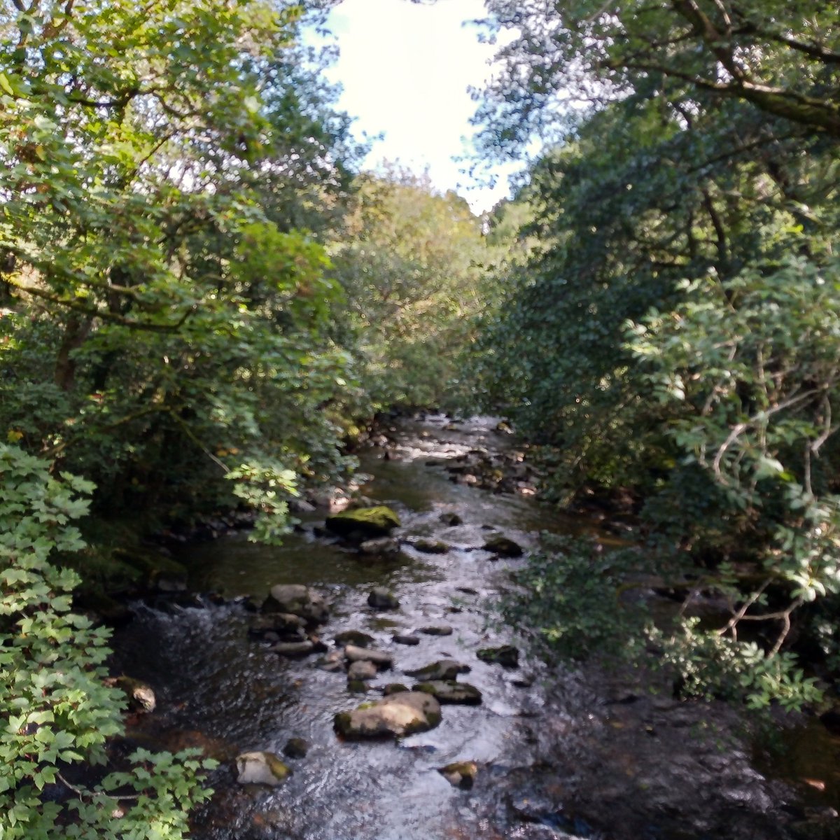 Another great day out on Dartmoor #slowways this time okepri(2) between Princetown and Okehampton.