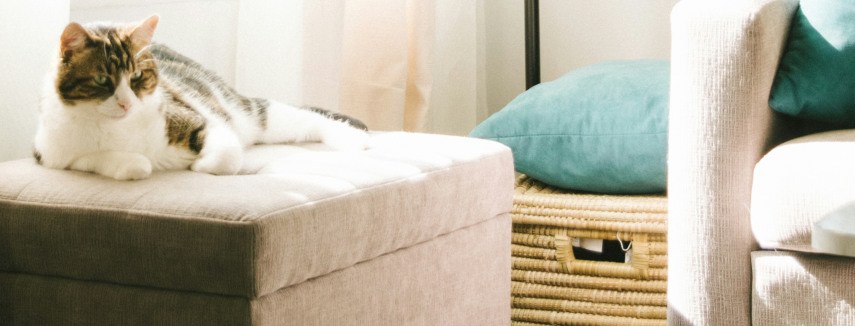 Read our tips for maximizing space in your studio apartment rental: bit.ly/3X8jAgh. #apartments #apartmentsforrent #SpaceSavingSolution