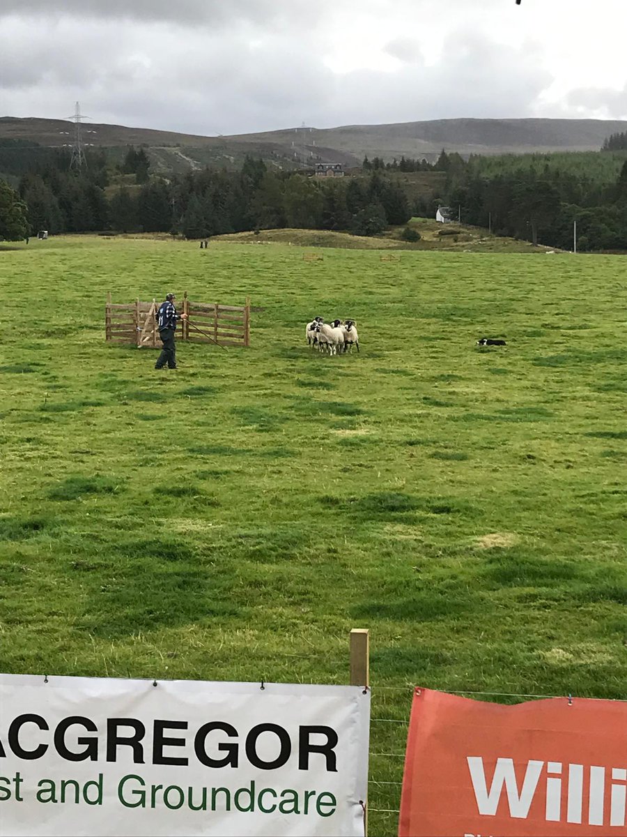 P5-7 had a fantastic morning at Farr Estate watching the Scottish sheepdog trials. We particularly enjoyed watching the trials and learning about the commands and whistles used. Massive thanks to the RHET Highland team.