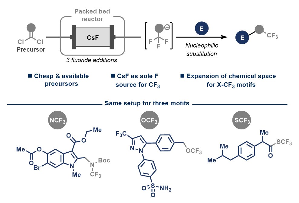 Noel Research Group (@noelgroupuva) on Twitter photo Words can't describe our feelings!
In <a href="/ScienceMagazine/">Science Magazine</a>, we present a flow method to prepare CF3-X anions on demand using organic precursors and CsF, avoiding #PFAS use in the process.
🔗science.org/doi/10.1126/sc…
This allows for precise introduction of these groups at any stage! Words can't describe our feelings!
In <a href="/ScienceMagazine/">Science Magazine</a>, we present a flow method to prepare CF3-X anions on demand using organic precursors and CsF, avoiding #PFAS use in the process.
🔗science.org/doi/10.1126/sc…
This allows for precise introduction of these groups at any stage!