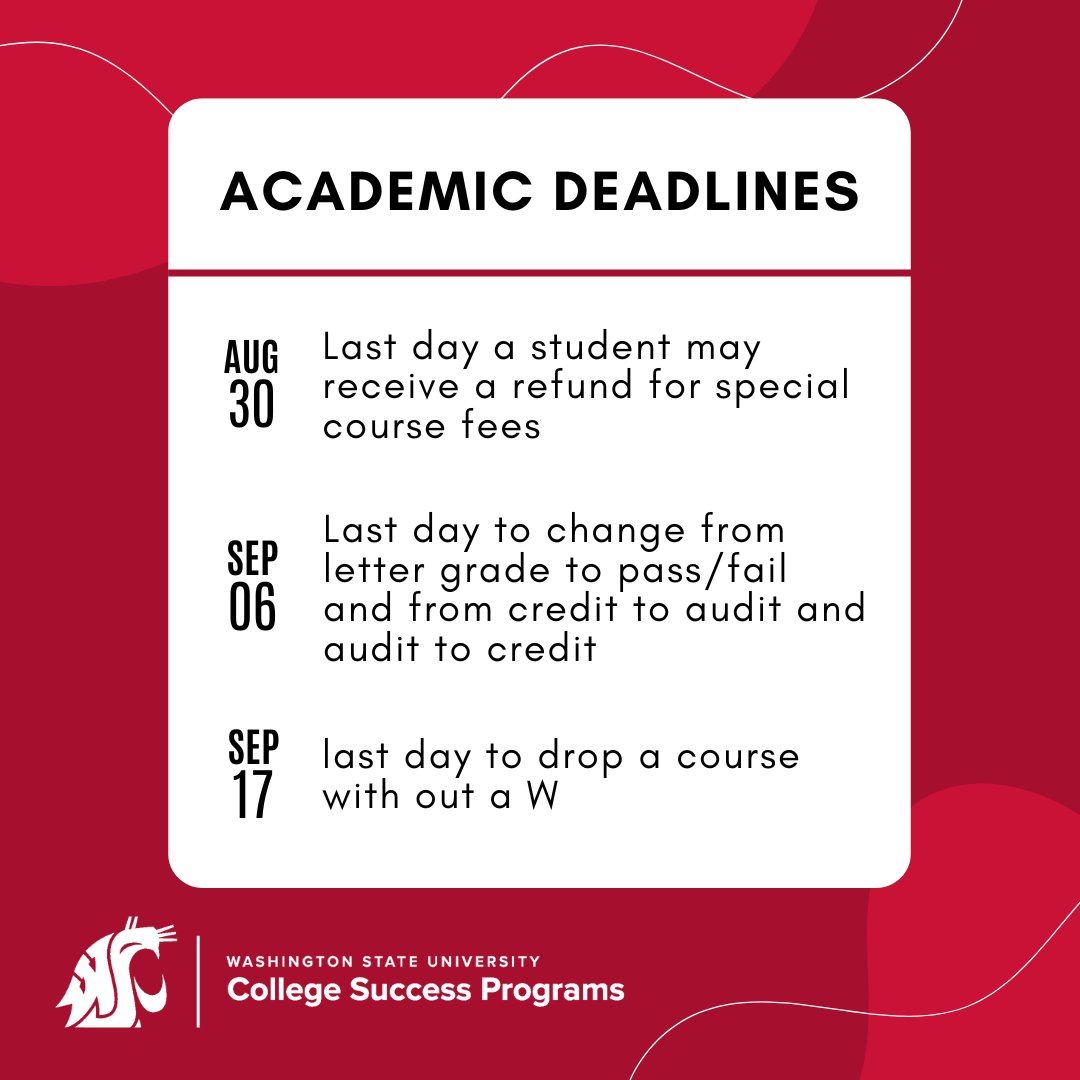 WSU College Success Programs tweet media
