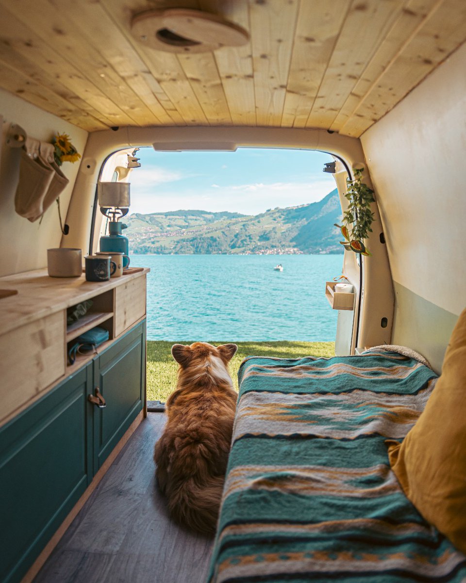 P&O Ferries tweet media