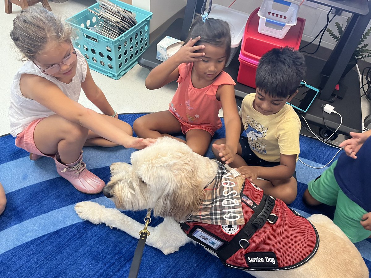 💖🐾🐶💖#gibson #shinelikesable #MASONmoment #4PawsforAbility <a href="/MrsBly_MECC/">Melissa Bly</a> <a href="/MasonSchools/">Mason City Schools</a>