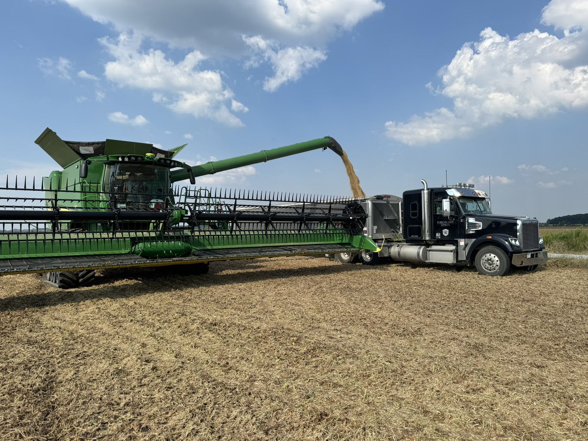 Rubenacker Farms tweet media