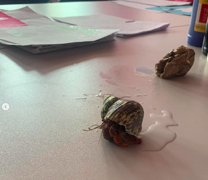 Sandy Sims tweet media