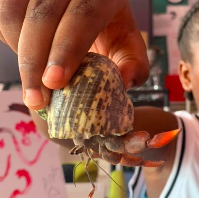 Sandy Sims tweet media