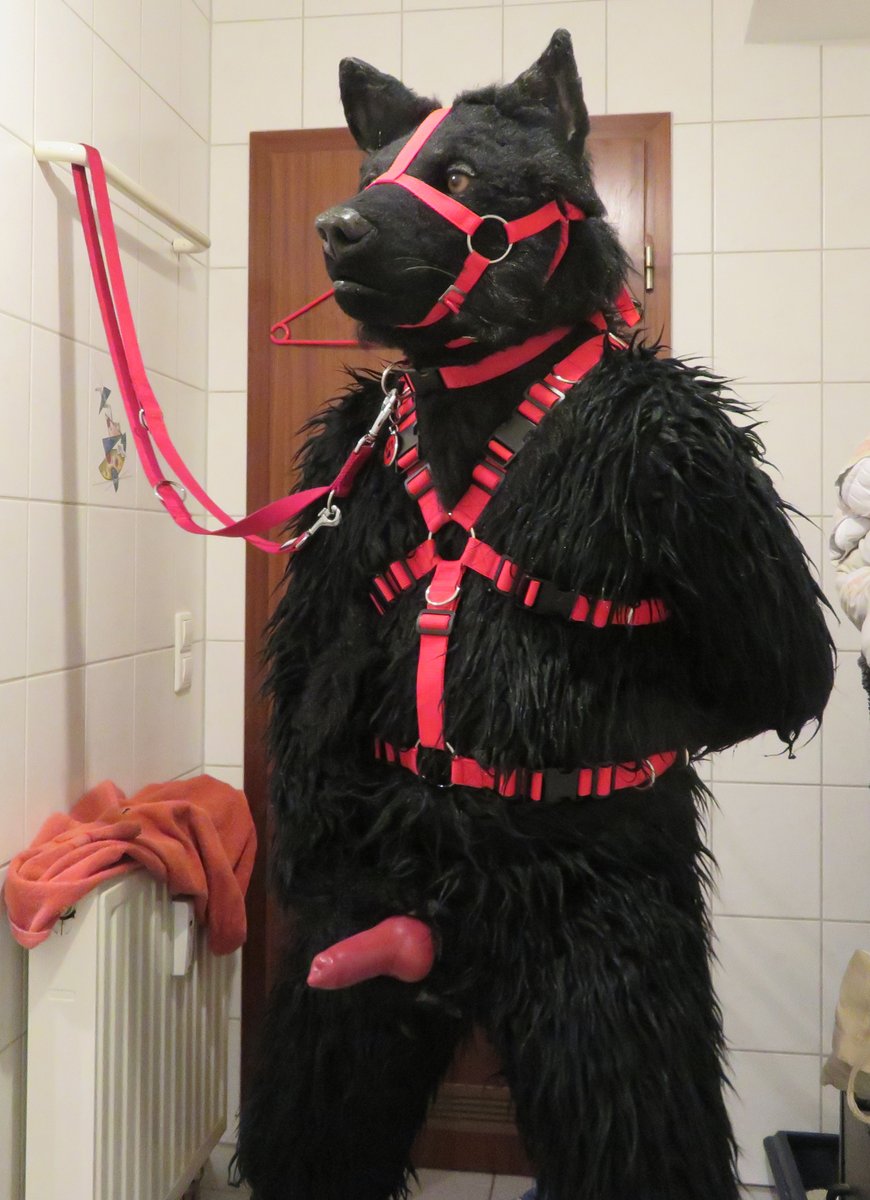 Well, how do you like the <a href="/Fetish_Zone/">Fetish_Zone 🔜 MFF Dealer</a> #toy?

Happy #Naughty #FursuitFriday

🐺 #NaughtyBerk (<a href="/BerkWolf/">BerkWolf 🇩🇪🇳🇱 🔜 RD 🇩🇪</a>)
📷 Timer
🗓 13.04.2018
🏙 Stuttgart 🇩🇪

#Bondage #Murrsuit #BDSM #Leash #Collar #Wolf #Harness #Muzzle #Cadejo #yiff

Follow my #kinky channel (TG):
t.me/BadBerk