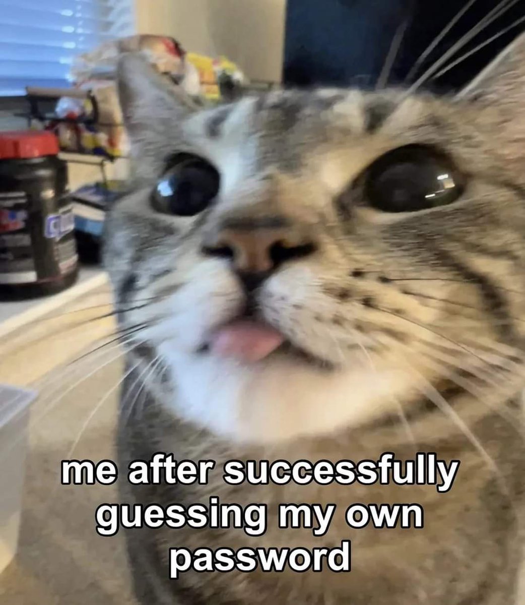 CATBRAINCELL's tweet photo. https://t.co/gjhnzXNFLZ