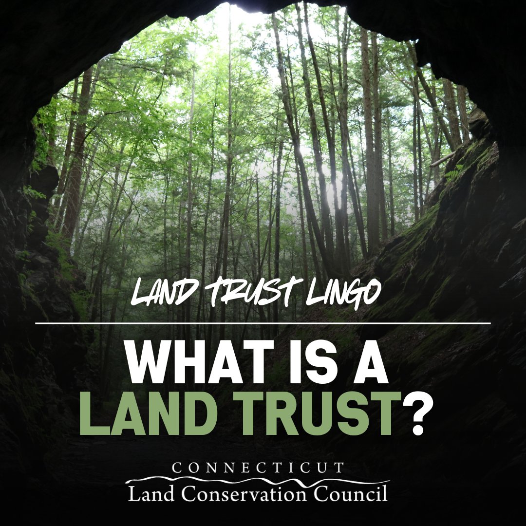 From remote rural areas to bustling cities, #LandTrusts are woven into the fabric of #Connecticut. Nearly every town &amp; city in CT has a land trust preserving our natural beauty &amp; heritage, making it accessible for all to enjoy. 🌳💚
🔗 bit.ly/3T42j6y